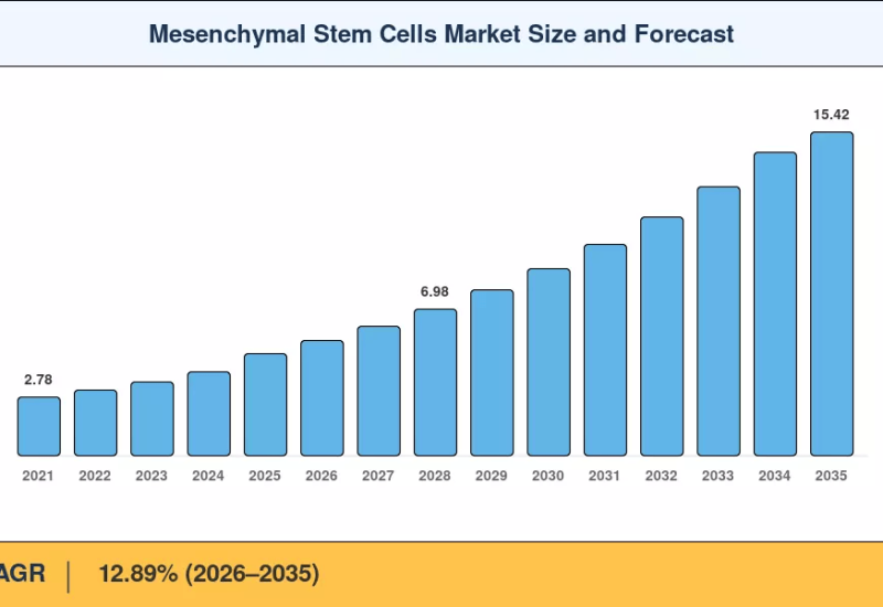Mesenchymal Stem Cells Market to reach USD 15.42 Billion by 2035 at 12.89% CAGR
