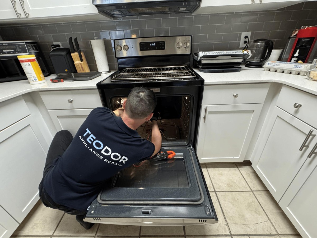 Teodor Appliance Repair Issues St. Petersburg Consumer Guide