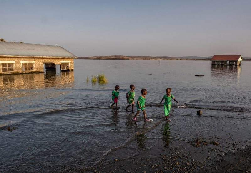 Rising Waters at Lake Turkana Threaten Livelihoods and Increase Crocodile Risk