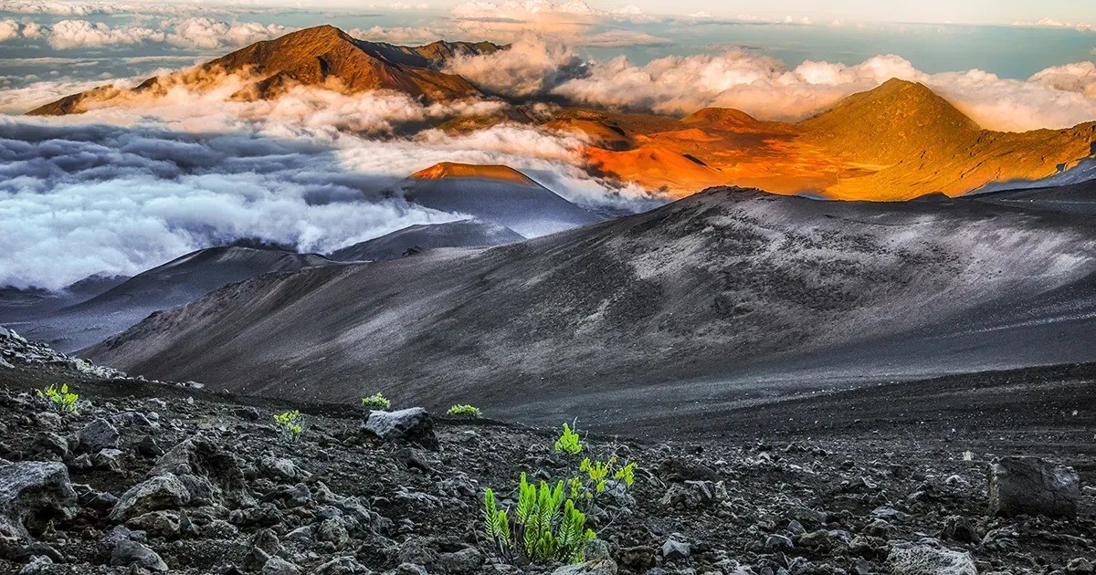 Hawaii Travel Guide Celebrates 20 Years Online and 60 in Print