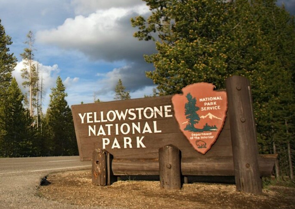 Teton Expeditions redefines family wildlife tours in Grand Teton & Yellowstone